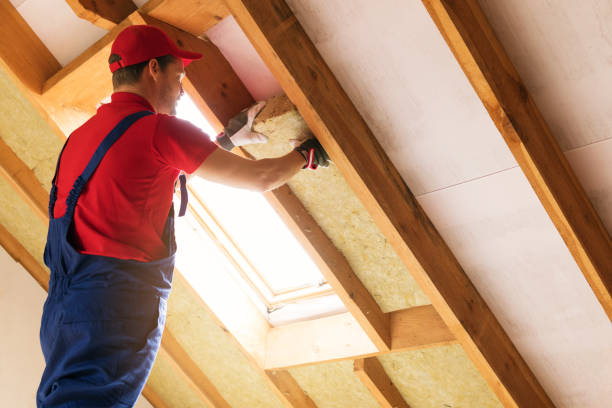 Types of Insulation We Offer in Waterloo, IA